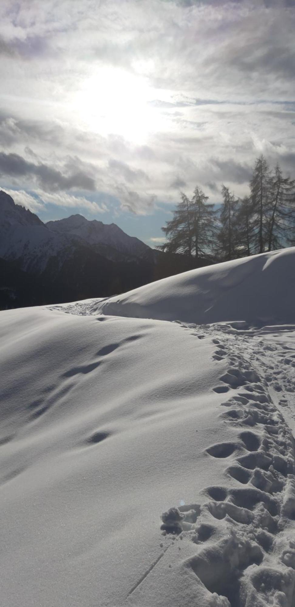 Agriturismo Belotti Temu Bagian luar foto